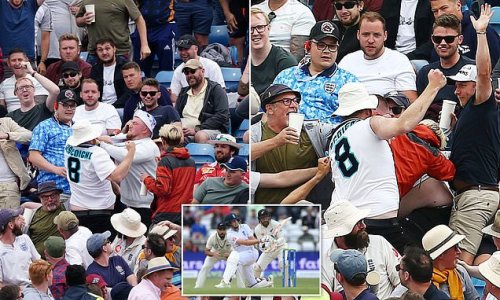 Just NOT cricket! Brawl breaks out in crowd at third and final test between England and New Zealand at Headingley