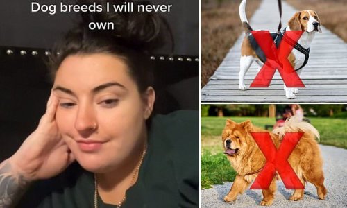 'Pugs are a HARD no': Dog trainer lifts the lid on the breeds she'd NEVER want to own because they're so impossible to train