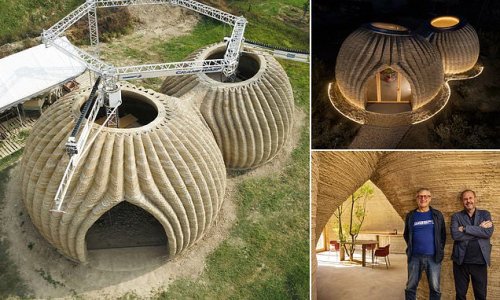 The homes of the future? World's first eco-sustainable houses have been 3D printed in Italy entirely from local raw EARTH