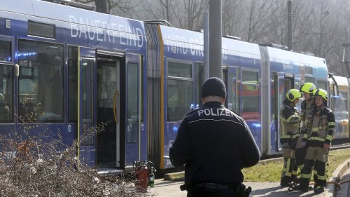 Woman, 46, is fighting for her life after being doused in flammable liquid and set ALIGHT on German train - before attacker fled