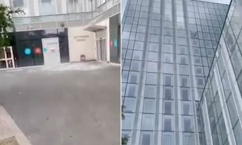 ‘Terrifying’ moment massive pane of glass that was ‘hit by a bird’ falls 12 storeys from a high rise apartment building before smashing on the ground but miraculously no one is hurt