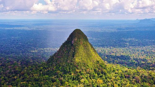 'Sacred' pyramid built by forgotten civilization in Amazon rainforest may be world's tallest ancient structure