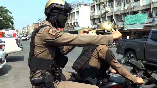 Rampaging monkey gangs terrorise Thai tourist town