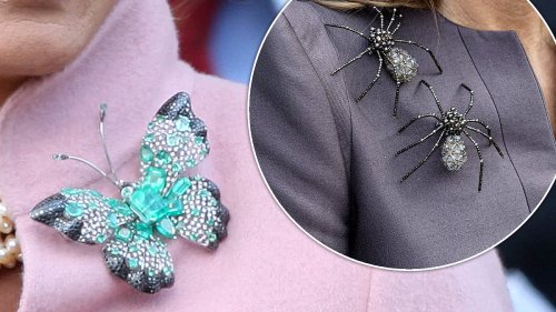 What's bugging them? Royal women love an insect brooch, so can you guess who's wearing these...