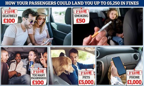 Five ways your passengers (and pet) could land you up to £6,250 in fines - and how drivers can avoid the costly charges