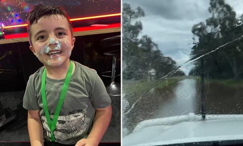 Heartbreaking final social media post of a mother who lost her five-year-old son when their ute was swept away in floodwaters as they returned home from a family trip to the Zoo