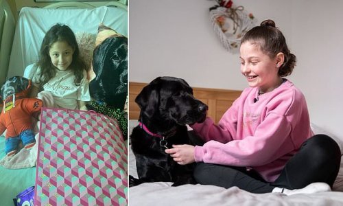 'Hero' family dog formed an incredible bond with 11-year-old girl while she battled leukaemia and wasn't allowed to see her friends for a year