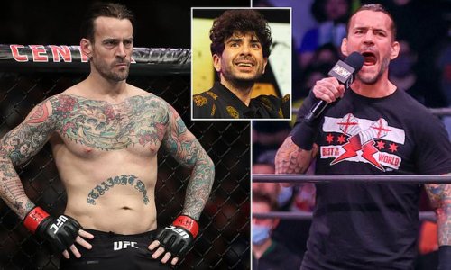 CM Punk set for RETURN! The former WWE star 'wants back in' to AEW after being axed since backstage brawl in September - with owner Tony Khan set to make a decision on the two-time champion's future