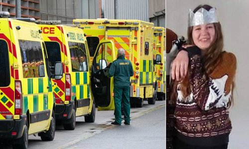 North East Ambulance Trust 'covered up evidence about mistakes by paramedics that were linked to deaths of 90 patients'