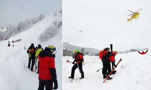 Eight people are killed in weekend avalanches in Austria, police reveal despite pleas for caution on ski slopes
