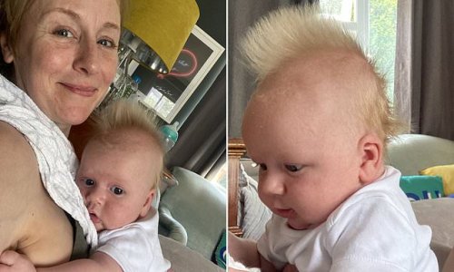 Pint-sized punk! Baby, 10 weeks, has a natural mohawk that started sticking up when he was just a few days old