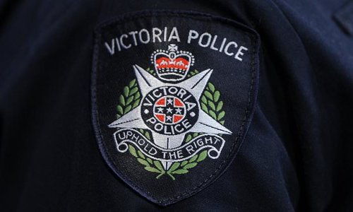 Horror in suburbia as home 'intruder' is stabbed to death
