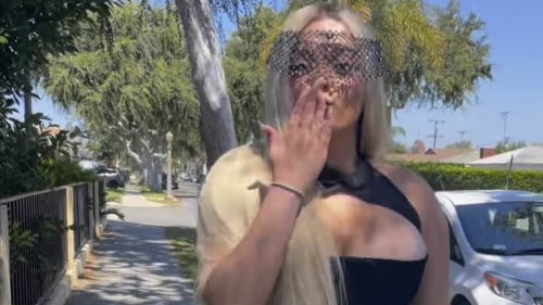 Bebe Rexha is a hot mesh as she struts to new Doja Cat song Agora Hills in VERY revealing outfit: 'Show me off'