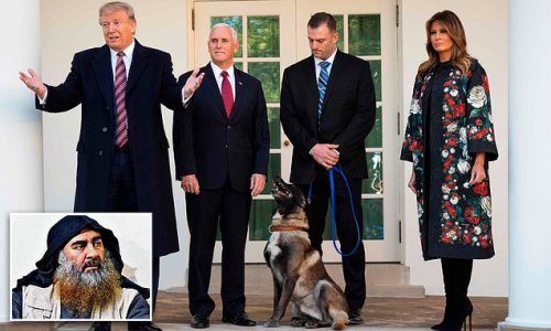 Melania Trump took central role in al-Baghdadi killing, joining Donald in Situation Room and pushing him to feature Conan, the hero dog