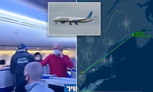 UA flight to Israel turns back to US mid-flight after passenger riot