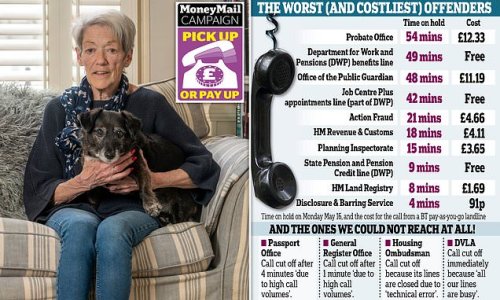 Fury at civil service's WFH phone line hell: Uncovered horror stories include callers routinely being put on hold for an hour and a 20 hour wait to confirm a tax payment while Covid is STILL being blamed for delays