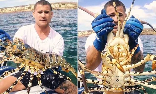 Fisherman catches gigantic crayfish in Australia