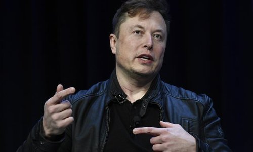 Elon Musk, 51, 'welcomed TWINS with one of his top executives, 36,' weeks before he had second child with Grimes via surrogate, court documents reveal
