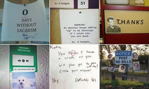 Pranksters reveal the funniest ways they've tried to outwit the public