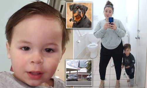 PICTURED: Two-year-old Boy Mauled To Death By A Rottweiler And A Cattle ...