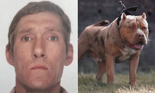 Pictured: Father, 62, mauled to death by his son's American Bully-type dog which bit him on the leg while he was looking after him at house