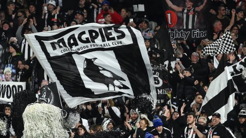 Josh Daicos reveals the surprising number of grand final tickets the game's biggest stars get - as Collingwood boss explodes over ticketing disaster for Pies fans