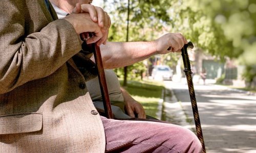 Scientists develop an inflammatory ageing CLOCK to predict frailty