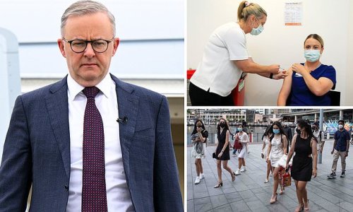 Why every Australian could soon be offered a FOURTH Covid jab as Anthony Albanese says it's a 'question of when' - even though experts warn there's NO evidence it will stop new Omicron strains