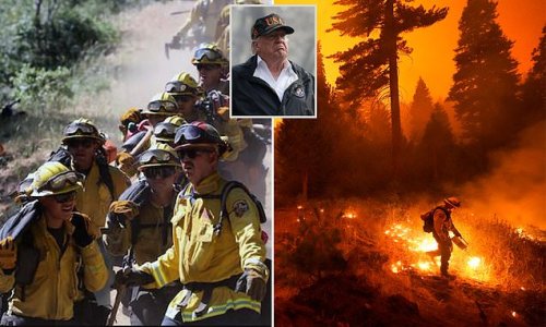 California will spend $500 million to thin forests to prevent fires
