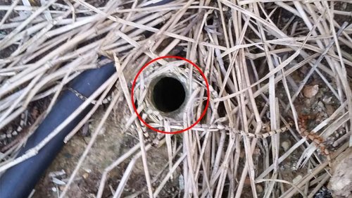 Adelaide man terrified after discovering sinister truth behind a small spider hole in his garden