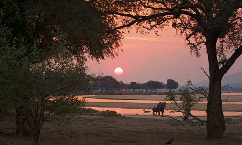 The ten best walking safaris around the world, from India to Ethiopia