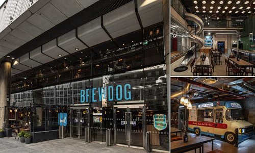 'It's more like an AIRPORT!': BrewDog opens the 'UK's biggest bar' complete with a SLIDE, 'Zoom room' pods and ice cream van (but critics say the 26,500sq ft craft beer pub resembles a business park)