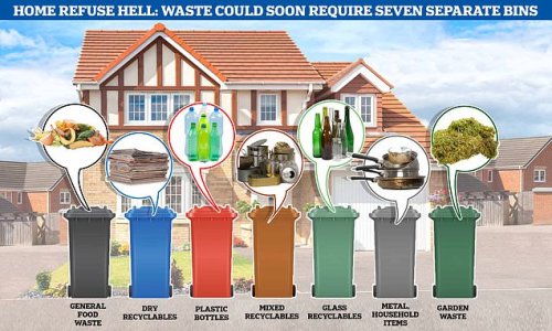 Fury as households could be forced to pay to have seven different waste bins - amid fears councils may push cost of government green scheme onto taxpayers