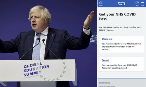 Cabinet revolt over vaccine passports