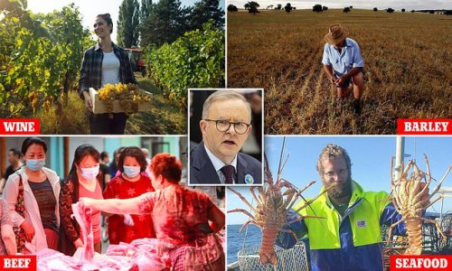 Albo to the rescue? How Anthony Albanese's stance on China could be VERY good news for all Australians - and signal a billion-dollar windfall for our biggest industries