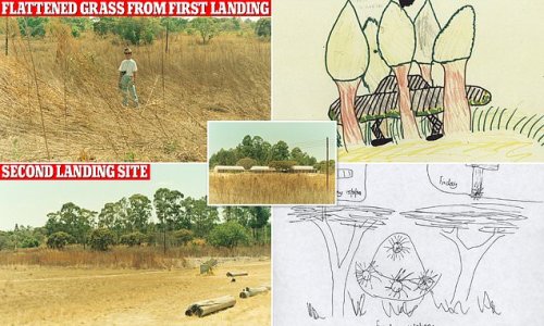 EXCLUSIVE: Never-before-seen photos reveal extraordinary wedge-shaped impressions and oval imprints left in a grass field by UFOs during famous 1994 sighting witnessed by more than 60 schoolchildren in Zimbabwe