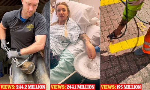 The most popular UK TiKTok videos of 2022 revealed: ASMR clip of a farrier removing a horseshoe takes the top spot with 244.2 MILLION views
