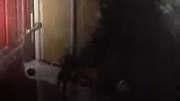 Moment armed police chainsaw their way through cocky gang leader's front door after he flooded the streets with £2m of drugs in just three months