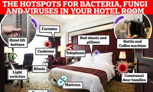The filthiest places in YOUR hotel room: Microbiologist reveals where creepy-crawlies are most likely to be hiding - including the TV remote, kettle and CURTAINS