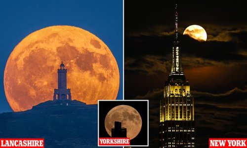 A sweet sight! Stunning 'Strawberry Moon' is seen rising across the world in beautiful images