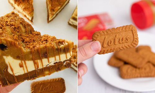 Foodies say this is the best Biscoff pie ever made