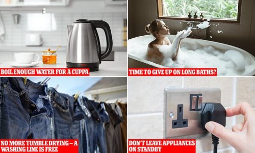 Can you REALLY save a fortune by switching off the TV at the wall and boiling less water for a cup of tea? We put popular energy-saving claims to the test as prices skyrocket