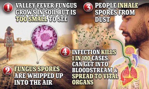 Deadly fungal infection 'Valley fever' that kills one in 100 sufferers is spreading across the US 'because of climate change' — as hit zombie show 'The Last of Us' heightens fungi fears