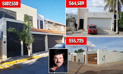 Mexico sells three of El Chapo's homes, including one with a secret ...