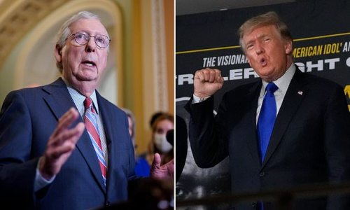 Trump wants McConnell OUT - but few Republicans are willing to help