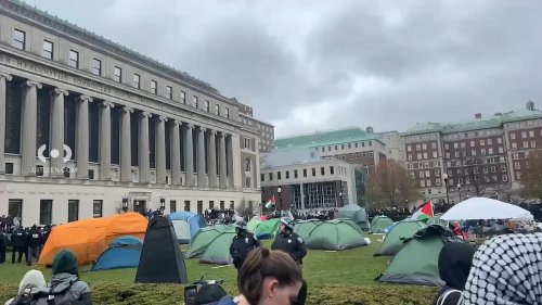 Cops arrest protesters at Columbia university for days-long 'solidarity with Gaza' camp