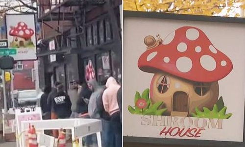 What could go wrong? Portland residents flock to ILLEGAL magic mushrooms store that's brazenly opened on busy street, as city sees record murders and famed brands threaten to quit over crime