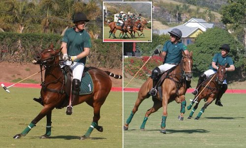 Well protected! Prince Harry wears helmet and knee-pads as he plays polo in California tournament... just weeks after his barb about him protecting the Queen