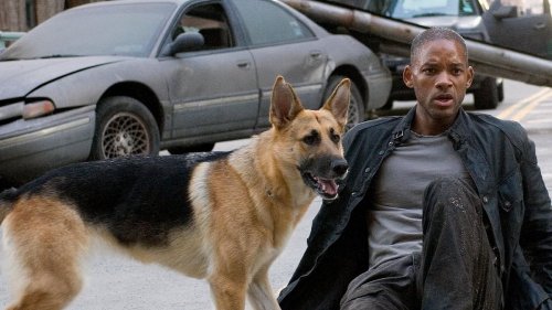 Will Smith pays loving tribute to I Am Legend dog with poignant video montage as fans say: 'I've...