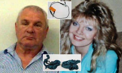 Blunders that allowed 'Lady in the Lake' killer to escape justice for 30 years: Pathologist in 1987 probe believed victim Shani Warren killed herself despite body being found tied up and gagged - as serial sex attacker, 66, is found guilty of murder